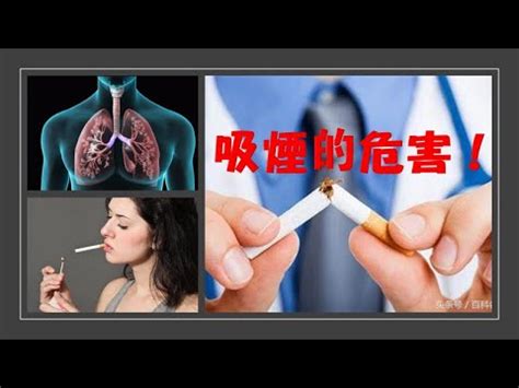 抽煙對身體的危害|吸煙對人體的危害